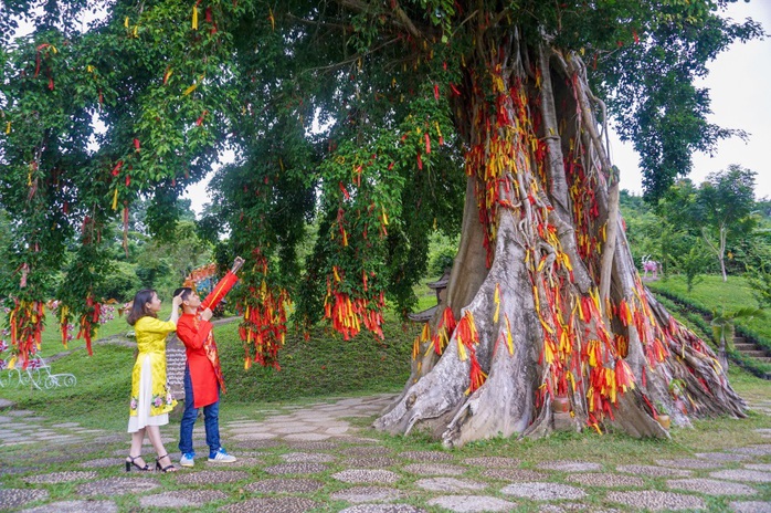 Yang Bay mùa đẹp nhất - Ảnh 3. Yang Bay mùa đẹp nhất - Ảnh 3.