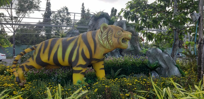 Những chú hổ đáng yêu ở Vườn hoa Cần Thơ Xuân Nhâm Dần 2022 - Ảnh 4.