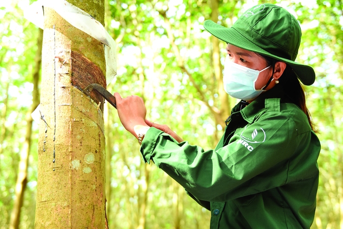 Sức mạnh nội tại làm nên việc lớn - Ảnh 2.