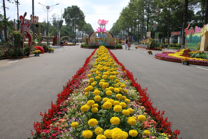 Rực rỡ đường hoa Xuân “Sen trên phố” ở Đồng Tháp - Ảnh 11.