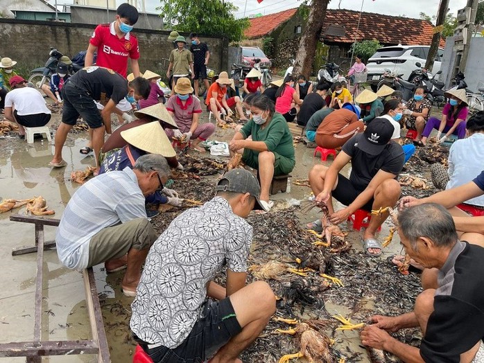 4.000 con gà chết vì mưa lũ, cả làng đến giúp chủ trang trại sơ chế - Ảnh 1.