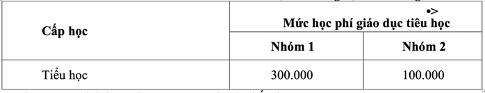 HĐND TP HCM thông qua mức học phí mới - Ảnh 4.