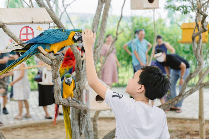 Charm Resort Hồ Tràm đáp ứng nhu cầu nghỉ dưỡng cuối tuần nhờ hệ tiện ích đa dạng - Ảnh 1. Charm Resort Hồ Tràm đáp ứng nhu cầu nghỉ dưỡng cuối tuần nhờ hệ tiện ích đa dạng - Ảnh 1.