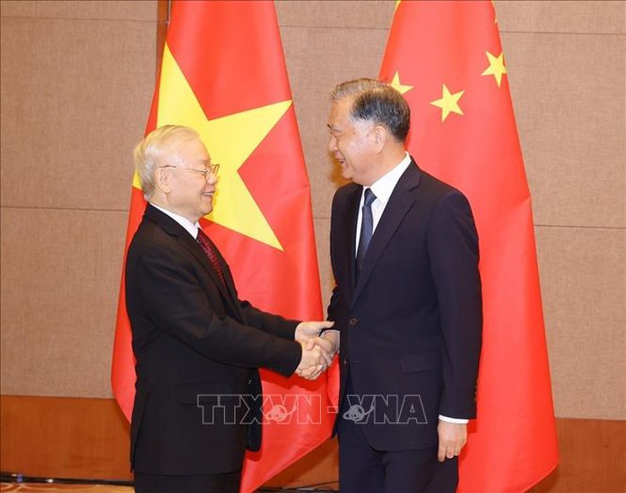 Tổng Bí thư Nguyễn Phú Trọng hội kiến Chủ tịch Chính hiệp Trung Quốc Uông Dương - Ảnh 1.