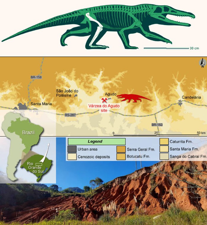 Lộ diện loài quái thú mới: Đầu cá sấu, chân như người, mình khủng long - Ảnh 1.