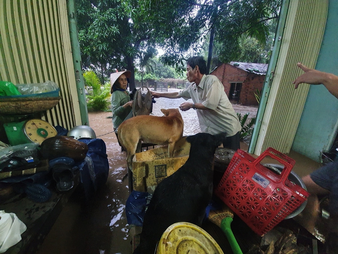 Tưởng mưa rào, ai ngờ sạt lở, nước ngập kinh hoàng ở Phú Yên - Ảnh 4.