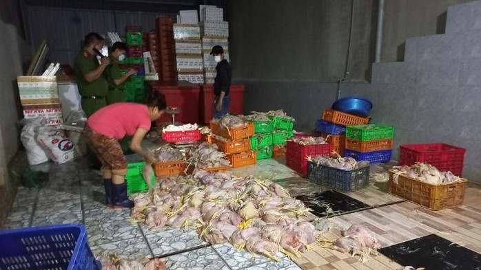2,2 tấn gà hôi thối suýt tuồn ra thị trường Đồng Nai, TP HCM - Ảnh 1.