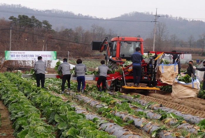 Chi phí và thu nhập khi làm việc thời vụ tại Hàn Quốc là bao nhiêu? - Ảnh 1.