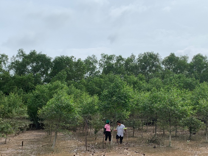 C.P. Việt Nam thực hiện “Hành trình vì một Việt Nam xanh” tại Thừa Thiên - Huế - Ảnh 4.