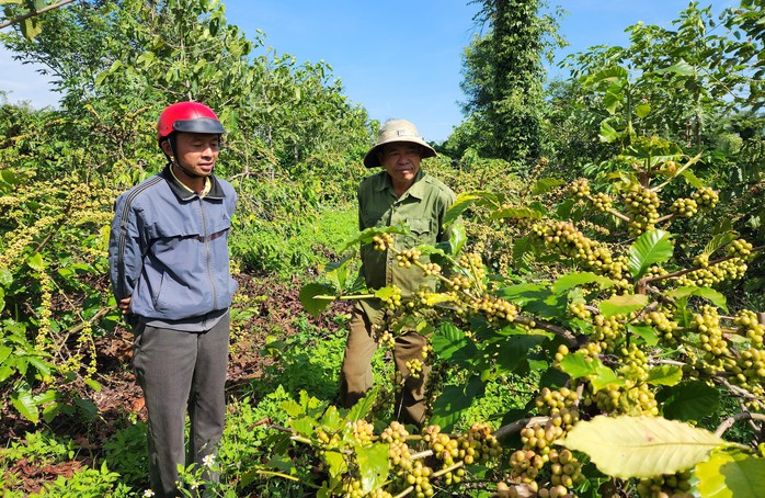 Vụ khiếu nại chia tiền bồi thường: Huyện họp để giải quyết - Ảnh 3.