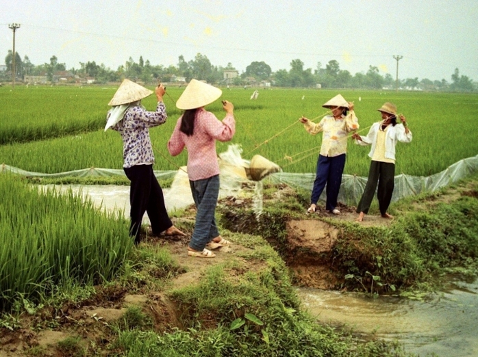 TIẾNG VIỆT GIÀU ĐẸP: Tát hay té? - Ảnh 1.