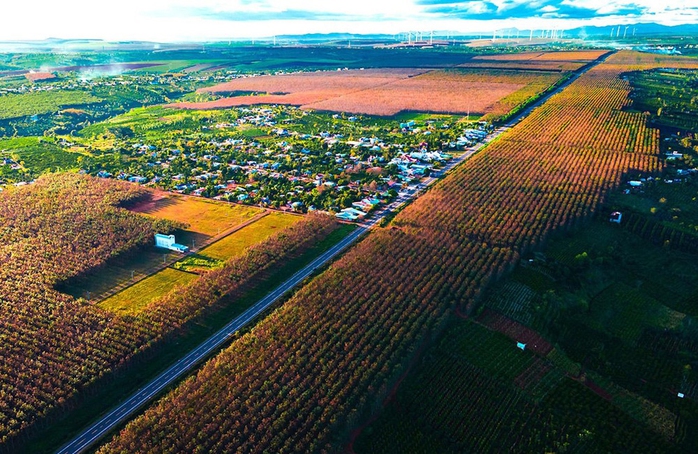 Nao lòng Tây Nguyên mùa thay lá - Ảnh 1.