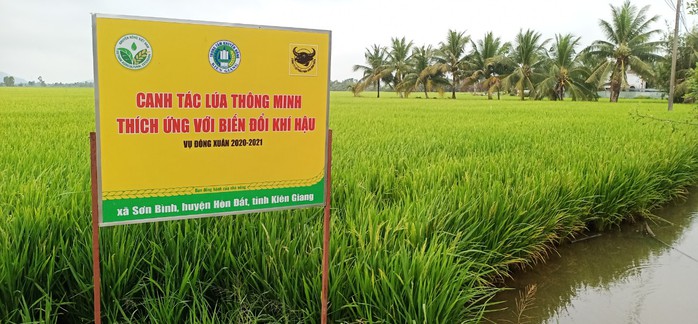 Ở Đồng bằng sông Cửu Long, chỉ làm lúa có giàu được không? - Ảnh 1.