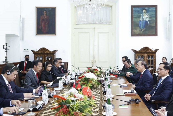 Bộ trưởng Ngoại giao Bùi Thanh Sơn nói về kết quả nổi bật chuyến thăm Indonesia của Chủ tịch nước - Ảnh 2.