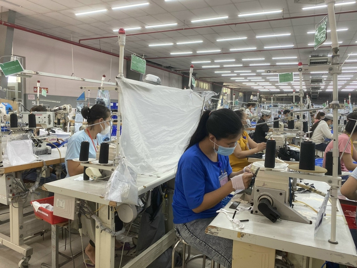 Thừa Thiên - Huế giới thiệu việc làm mới cho hơn 1.000 lao động - Ảnh 1.
