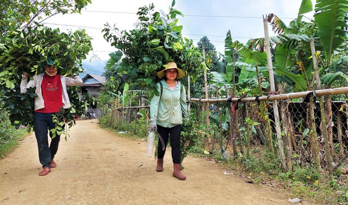 Chuyện lạ ở Vùng Kho - Ảnh 2.