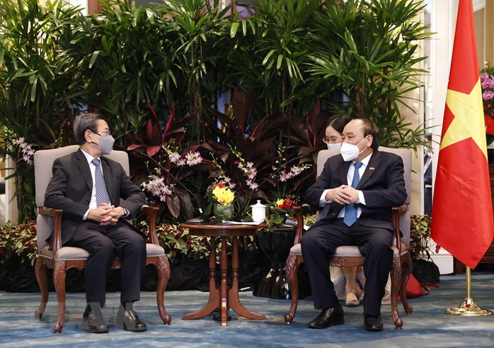 Chủ tịch nước Nguyễn Xuân Phúc tiếp Bộ trưởng Cao cấp Singapore Goh Chok Tong - Ảnh 7.