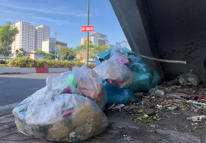 Những bãi rác trên đại lộ đẹp nhất TP HCM - Ảnh 2.