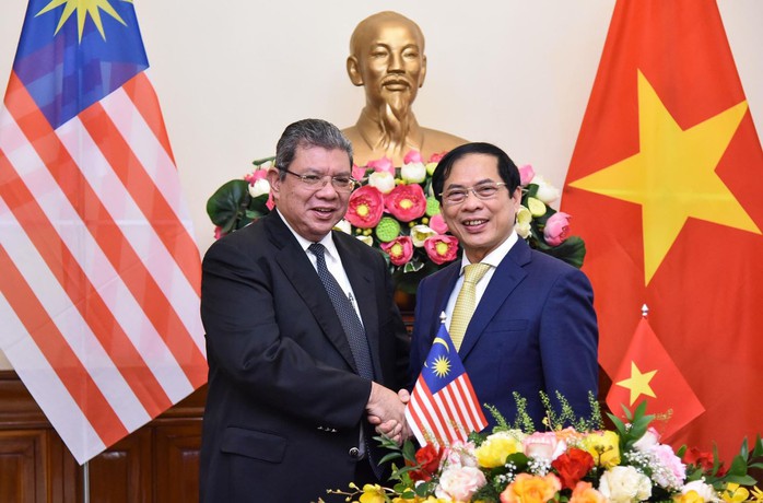 Hai Bộ trưởng Ngoại giao Việt Nam và Malaysia hội đàm - Ảnh 3.