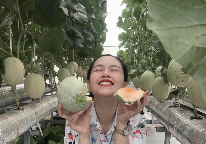 Thu hoạch 3 tạ dưa từ vườn trên mái tôn - Ảnh 8. Thu hoạch 3 tạ dưa từ vườn trên mái tôn - Ảnh 8.