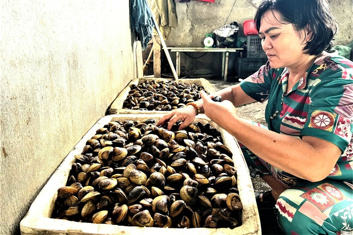 Cạn kiệt hến sông Hương - Ảnh 2. Cạn kiệt hến sông Hương - Ảnh 2.