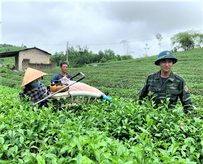 Biến đồi trọc thành nương chè bạc tỉ - Ảnh 1.