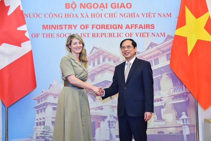 Bộ trưởng Bùi Thanh Sơn đề nghị Canada sớm công nhận hộ chiếu vắc-xin của Việt Nam - Ảnh 2.