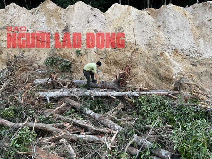 CLIP: Bắt quả tang nhóm người phá rừng rất tinh vi ở Phú Quốc - Ảnh 3.