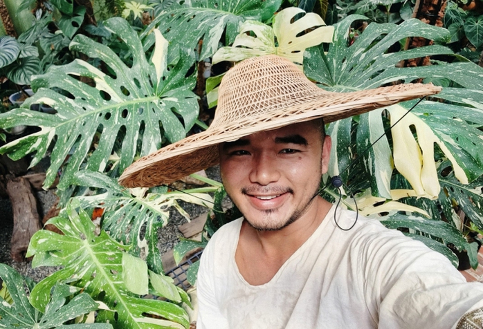 Đưa rừng nhiệt đới vào nhà - Ảnh 1. Đưa rừng nhiệt đới vào nhà - Ảnh 1.