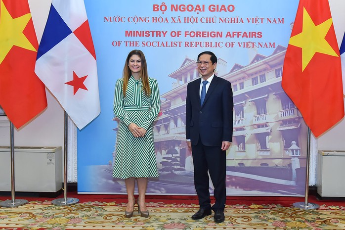Bộ trưởng Bùi Thanh Sơn hội đàm với Bộ trưởng Ngoại giao Panama - Ảnh 1.