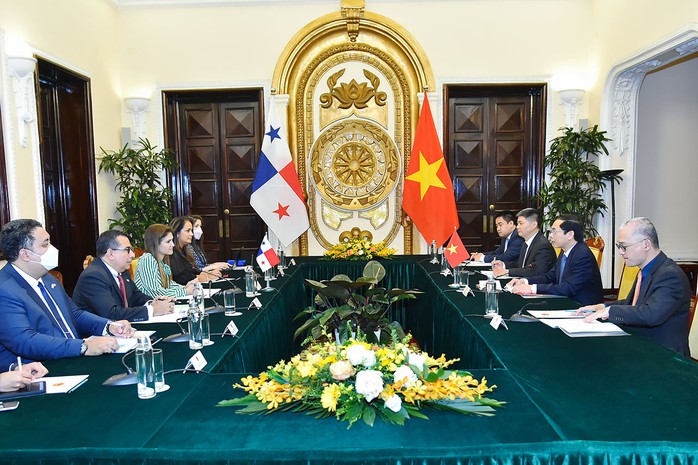 Bộ trưởng Bùi Thanh Sơn hội đàm với Bộ trưởng Ngoại giao Panama - Ảnh 2.