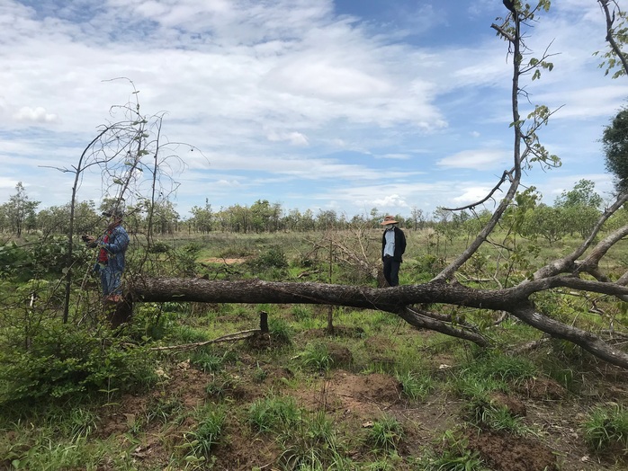 Đội Kiểm lâm đặc nhiệm phối hợp điều tra vụ phá gần 400 ha rừng ở Đắk Lắk - Ảnh 1.