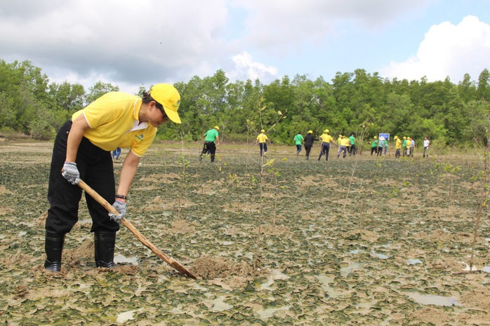VWS tham gia trồng cây tại rừng ngập mặn Cần Giờ - Ảnh 2. VWS tham gia trồng cây tại rừng ngập mặn Cần Giờ - Ảnh 2.
