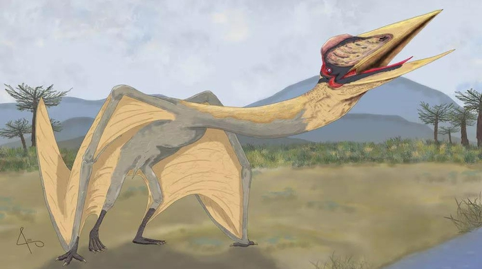 Rồng tử thần sải cánh 9 m hiện hình ở Nam Mỹ: loài hoàn toàn mới - Ảnh 1.