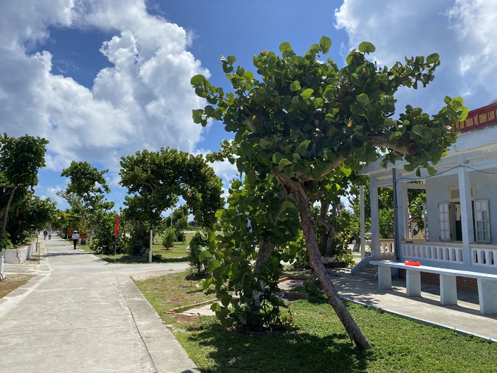 Đoàn Ban Tuyên giáo Trung ương kết thúc chuyến thăm quần đảo Trường Sa - Nhà giàn DK1 - Ảnh 18.
