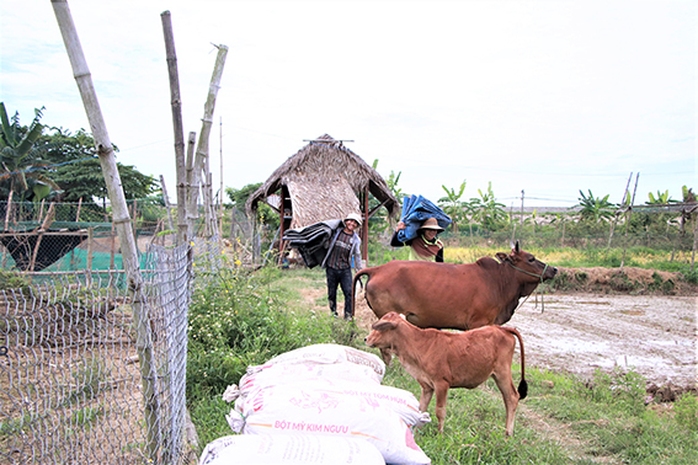 Biết làm nông nghiệp thuận tự nhiên - Ảnh 3.