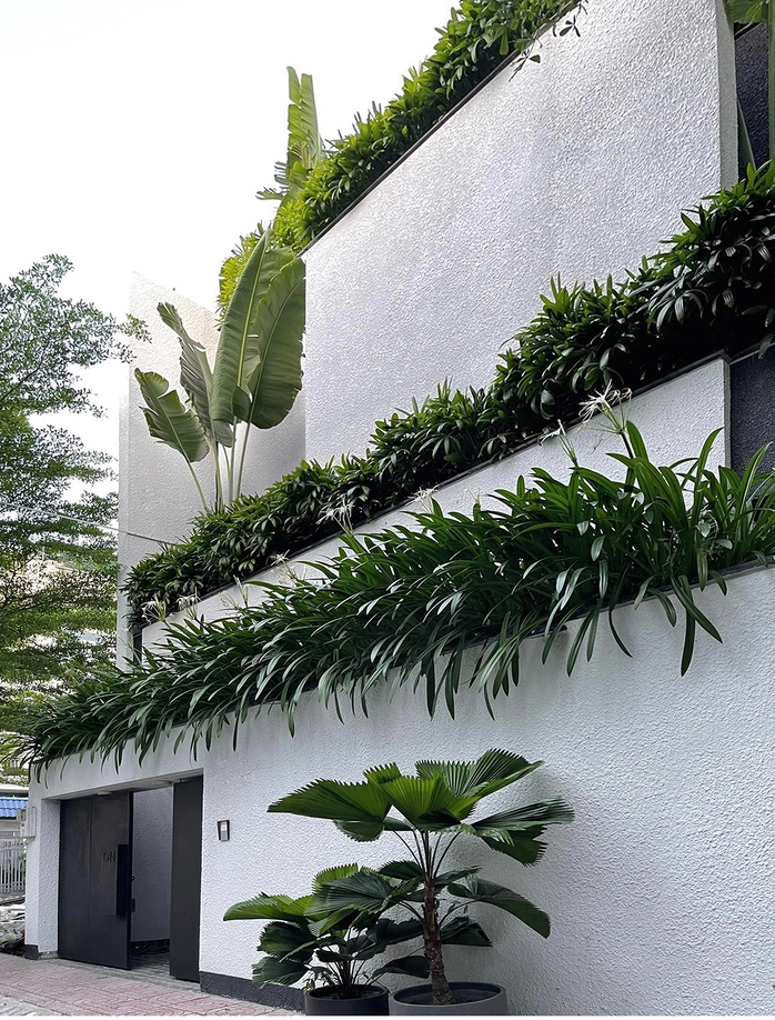 Nhà hướng Tây xanh mướt từ ngoài vào trong - Ảnh 2. Nhà hướng Tây xanh mướt từ ngoài vào trong - Ảnh 2.