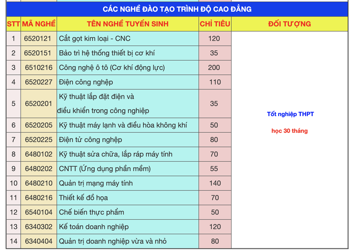 Các trường CĐ tốp đầu TP HCM tuyển sinh ra sao? - Ảnh 3.