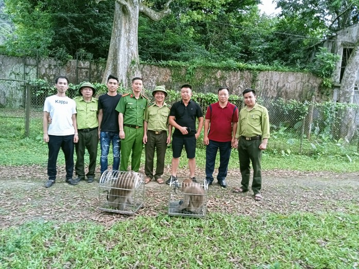 Vườn Quốc gia Cúc Phương tiếp nhận nhiều động vật hoang dã nguy cấp quý hiếm - Ảnh 1.