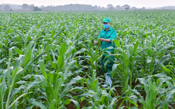 Mô hình phát triển bền vững Vinamilk Green Farm được chia sẻ tại hội nghị sữa toàn cầu - Ảnh 11.