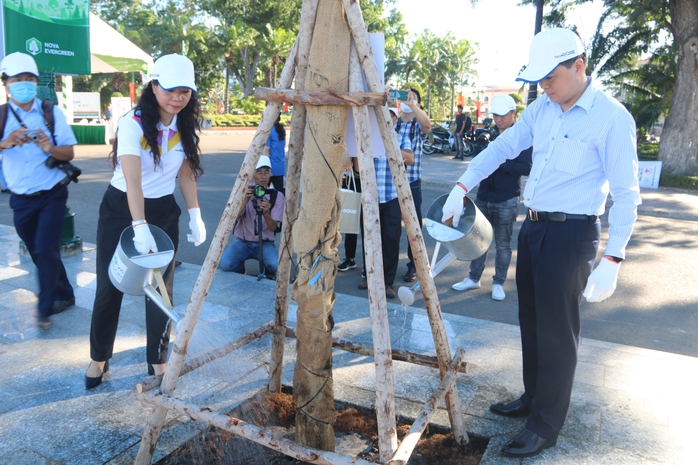 Bình Thuận trồng cây xanh bảo vệ môi trường - Ảnh 1.