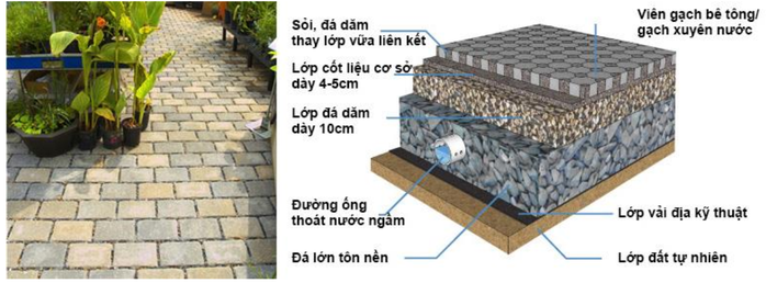 Giải pháp vỉa hè thẩm thấu nước kết hợp mảng xanh chống ngập - Ảnh 1.