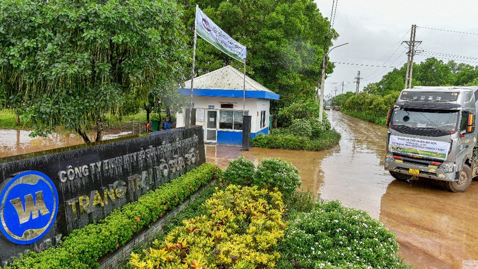 Hệ thống trang trại sinh thái Vinamilk Green Farm đón thêm 1.550 bò sữa nhập từ Mỹ - Ảnh 3.