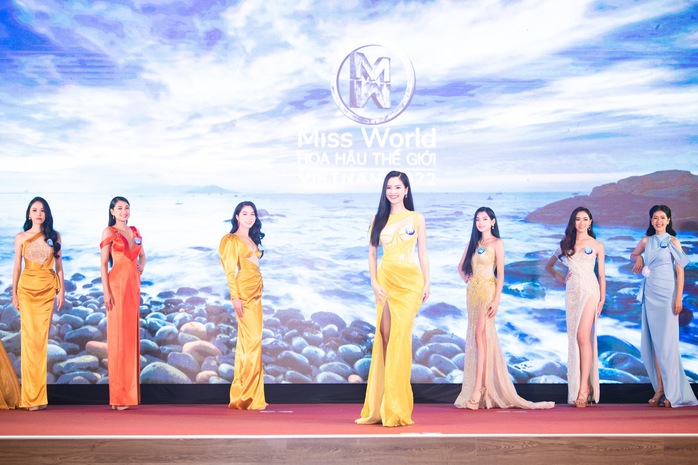 Công bố vòng chung kết Hoa hậu Thế giới Việt Nam 2022 tại Quy Nhơn - Ảnh 8.