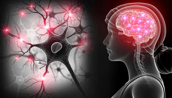 Một bệnh não hoàn toàn mới xuất hiện ở 40% người cao tuổi - Ảnh 1.