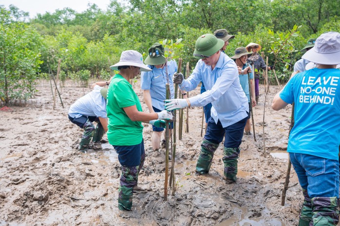 Trợ lý Tổng Thư ký Liên Hiệp Quốc lội bùn trồng rừng tại Thanh Hóa - Ảnh 1.
