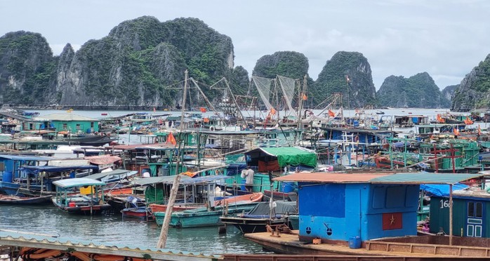Ứng phó với cơn bão MULAN: Quảng Ninh cấm biển từ 12 giờ ngày 10-8 - Ảnh 2.