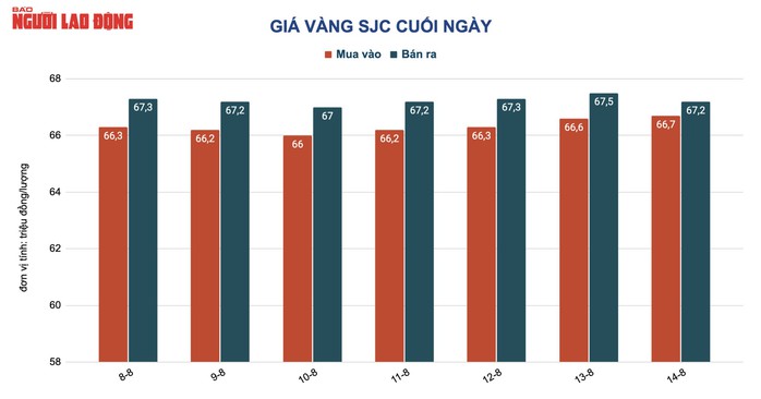 Giá vàng hôm nay 15-8: Vàng SJC, vàng nhẫn, trang sức đồng loạt giảm - Ảnh 2.