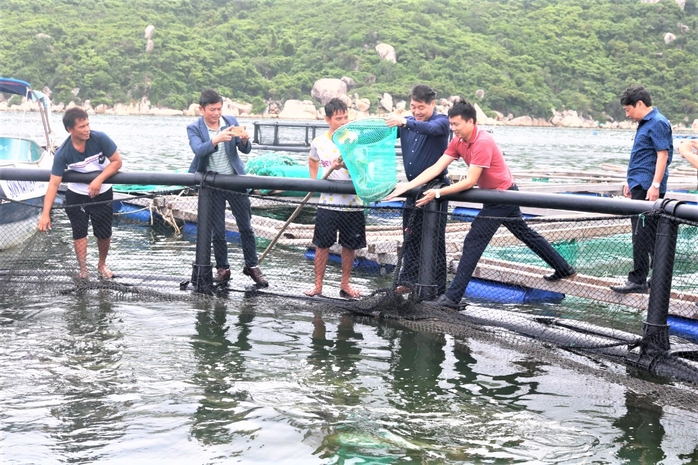 Sống trên biển bạc vẫn chưa thoát nghèo (*): Nuôi công nghiệp - giải pháp bền lâu - Ảnh 1.