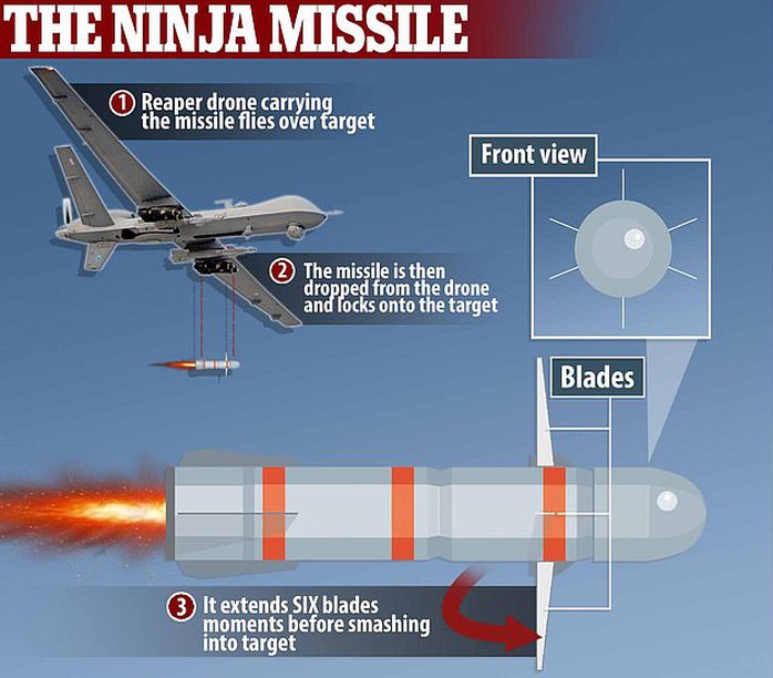 Mỹ dùng vũ khí đặc biệt gì để giết trùm Al Qaeda? - Ảnh 1.